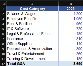 Excel worksheet with Cost Category and 2025 values, formatted as required for a Valsight data upload